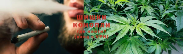 apvp Алексин