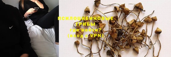 таблы Алексеевка
