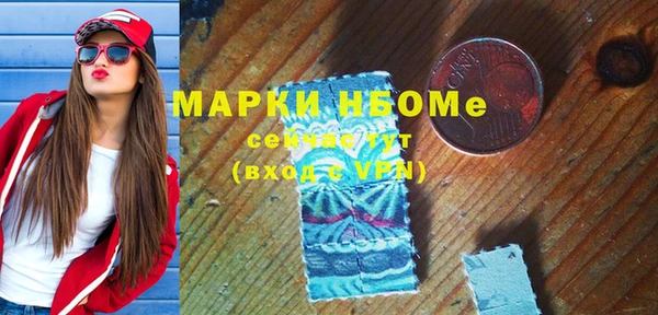 хмурый Алзамай