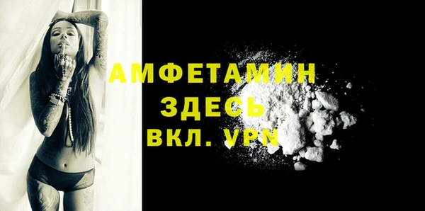 хмурый Алзамай