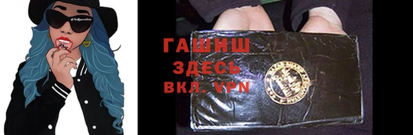 хмурый Алзамай
