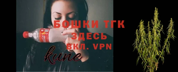 apvp Алексин