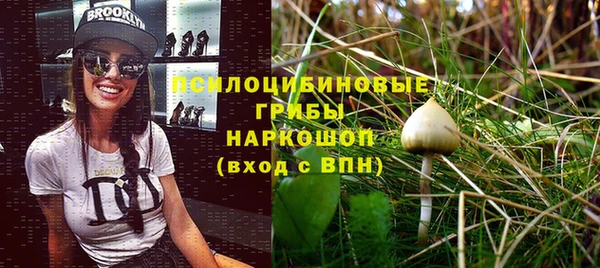 apvp Алексин