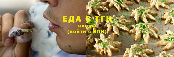 хмурый Алзамай