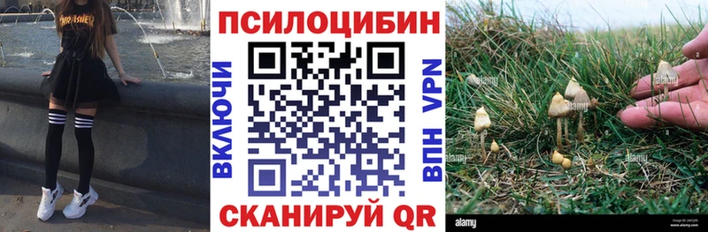 Галлюциногенные грибы Psilocybine cubensis где купить наркоту Тихвин